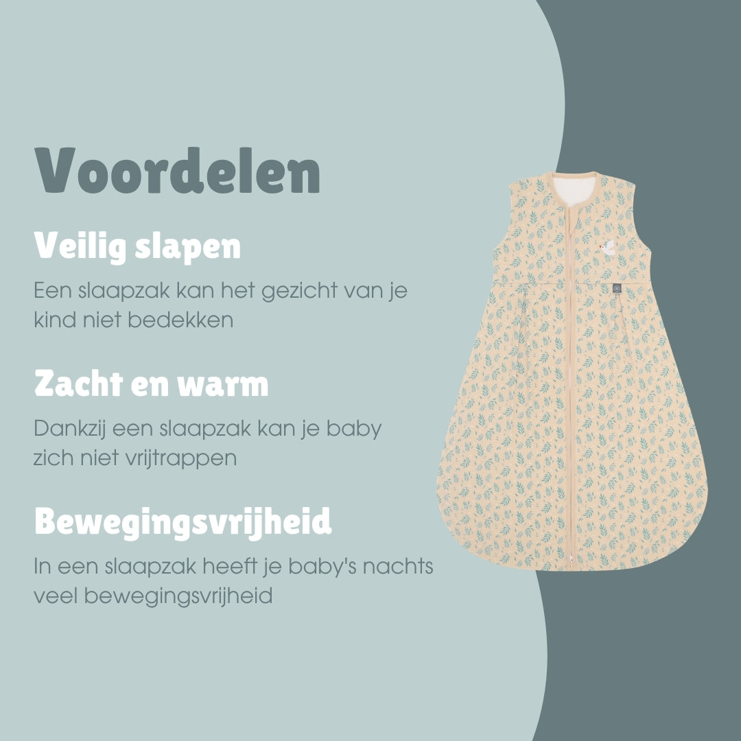 Slaapzak 1.0 TOG | Vogel