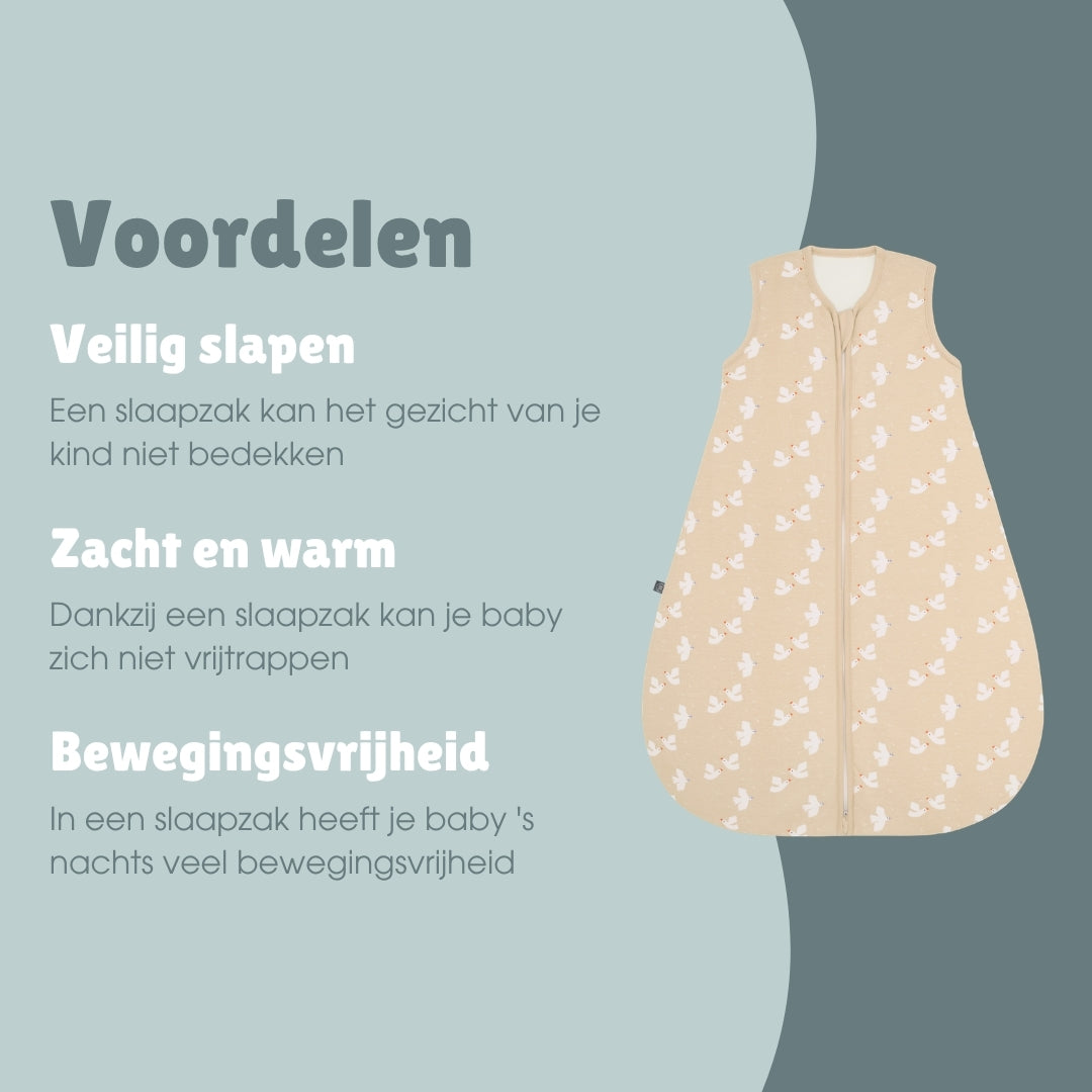 Slaapzak 2.5 TOG | Vogel