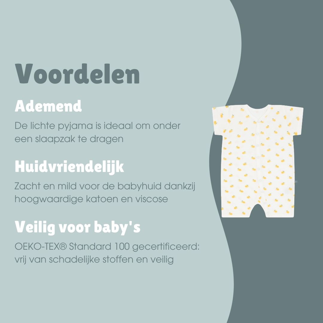 Slaappakje kort | Citroen